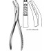 SEMB Bone Holding Forceps