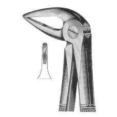 Extracting Forceps Fig-33M
