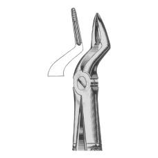 Extracting Forceps Fig-51C