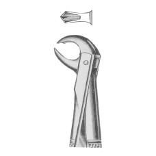 Extracting Forceps Fig-99 1/4