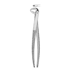 Extracting Forceps Fig-123
