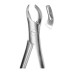 Extracting Forceps Roba Fig-44
